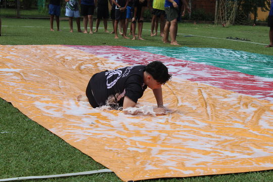 Imagem